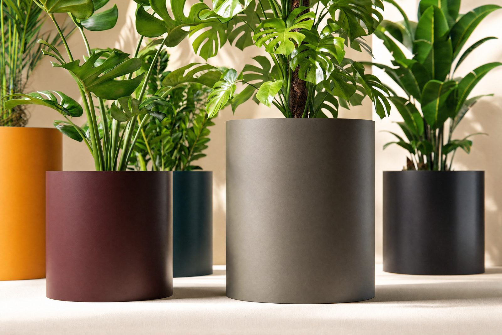 Planter 6400 vista 2